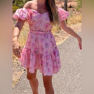 LoveShackFancy X Target Pink Rose 🌹 Floral Puff Sleeve Dress 👗